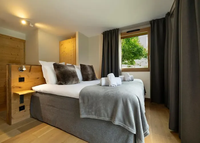 Chalet Repos Du Loup - 4ch 4sdb Jacuzzi Bainnordique